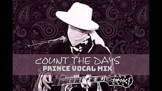 Count The Days Prince Vocal 99Problems Mix [upl. by Loralee]