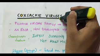 Coxsackie virus  Microbiology  Handwritten notes [upl. by Irma]