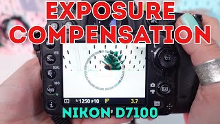 Master Exposure on Your Nikon D7100 How To Use Exposure Compensation [upl. by Drais]