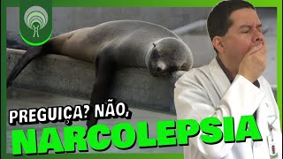 NARCOLEPSIA O QUE VOCÊ PRECISA SABER [upl. by Avin]