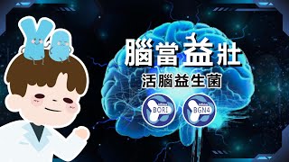 返『腦』還童有解？韓國 BIFIDO比菲德氏菌如何透過腦腸軸線 amp 神經營養 BDNF成為活腦益生菌、健腦益生菌、快樂益生菌、好眠益生菌的聰明原料睡眠原料 594乳酸菌原料百科 [upl. by Conners]