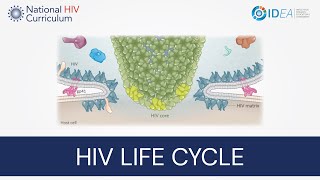 MiniLecture Series Overview of the HIV Life Cycle [upl. by Benjy]