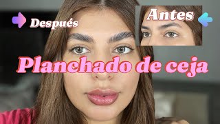 Planchado de cejas paso a paso ACTUALIZADO 🧖🏼‍♀️✨🫧 [upl. by Mclaughlin]