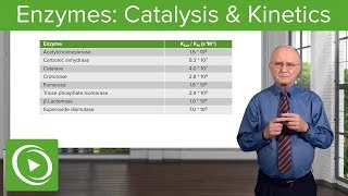 Enzymes Catalysis Kinetics amp Classification – Biochemistry  Lecturio [upl. by Pedroza]