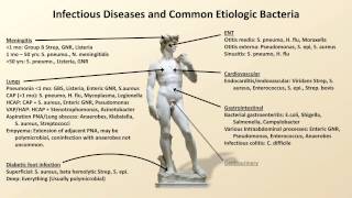 Bacterial Etiologies of Common Infections Antibiotics  Lecture 2 [upl. by Wilie]