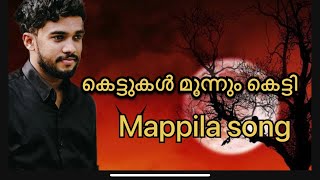 കെട്ടുകൾ മൂന്നും കെട്ടി mappila song Kettukal munum FT ASHIQ VAVAD [upl. by Alfredo]