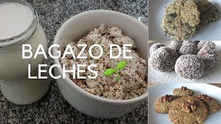 🌱3 RECETAS PARA UTILIZAR EL BAGAZO PULPA RESTO DE LECHES VEGETALES🌱BAGAZO DE ALMENDRAS🌱 [upl. by Jacobsen]