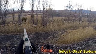 Heyecan verici yaban domuzu avıOkayŞAHİNSelçuk POSLUSerkanONATIR Wild Boar [upl. by Mikkanen457]