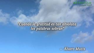 Tienes Que SANAR ¦ Gratitud Frases Reflexiones Agradecimiento Reflexión [upl. by Bartlett464]