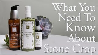 What You Need To Know About The Eminence Organics Stone Crop Collection [upl. by Kciremed]