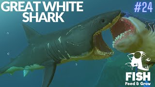 Feed And Grow Fish  Great White Shark [upl. by Harbert]