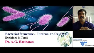 Bacterial Structure  Internal to Cell Wall Explained in Tamil [upl. by Gerdeen184]