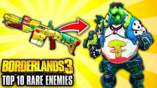 Borderlands 3  Top 10 Legendary Weapons THAT DROP FROM RARE ENEMIES [upl. by Ylrebmek]