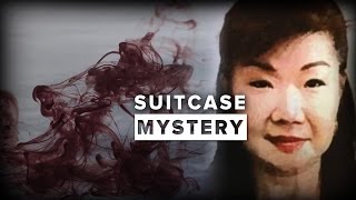 Suitcase Mystery  9 News Perth [upl. by Nnylav]