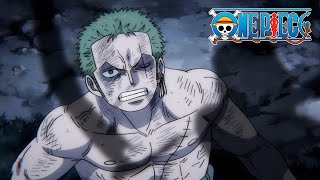 Death Comes for Zoro  One Piece [upl. by Rawdin]