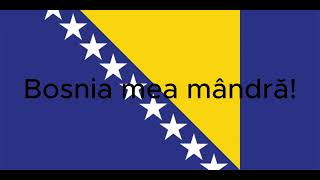 Bosanska Artiljerija w Romanian Lyrics Artileria Bosniacă [upl. by Nnaarat119]