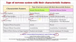 Difference in Somatic and Autonomic Nervous System  Somatic Vs Autonomic Nervous System [upl. by Akkim156]