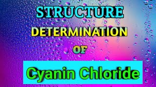 Structure Elucidation of Cyanin Chloride  Synthesis of Cyanidin Chloride [upl. by Naghem523]