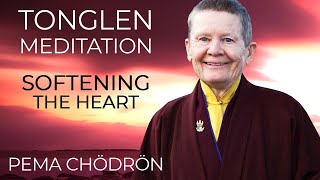 Entering the Challenge Zone with Pema Chödrön  Mindful Discoveries [upl. by Marino736]