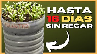 🌱 MACETA con AUTORRIEGO con BOTELLAS de PLÁSTICO RECICLADAS 💧 [upl. by Gordon]