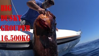 🔱ΨΑΡΟΝΤΟΥΦΕΚΟ ΡΟΦΟΣ 165KG🔱SPEARFISHING BIG DUSKY GROUPER 165KG [upl. by Enoval771]