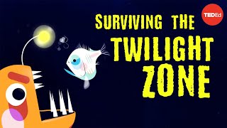 Could you survive the real Twilight Zone  Philip Renaud and Kenneth Kostel [upl. by Brenna]