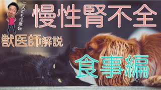 【犬・猫】腎不全でも療法食を食べてもらうコツ【獣医師解説】 [upl. by Xuaeb689]