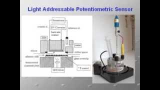 Sensori e Biosensori  ElbaTech Quartz Crystal Microbalance QCM [upl. by Aria]