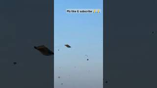 Kite lovers youtubeshorts kite trending shorts viralvideo song kiteflying love reels love [upl. by Simpkins]