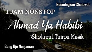 Ahmad Ya Habibi  Sholawat Tanpa Musik  1 Jam Nonstop [upl. by Aloke]