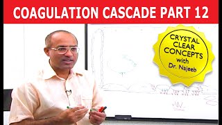 Coagulation Cascade  Part 1212 [upl. by Aziaf]