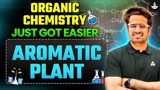 How to Make Organic Chemistry Easy 𝐌𝐞𝐦𝐨𝐫𝐢𝐳𝐞 𝟏𝟓 𝐀𝐫𝐨𝐦𝐚𝐭𝐢𝐜 𝐂𝐨𝐦𝐩𝐨𝐮𝐧𝐝 𝐑𝐞𝐚𝐜𝐭𝐢𝐨𝐧𝐬 using 1 Plant Varun Sir [upl. by Aimej614]