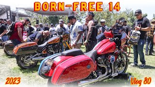 Born Free 14 • Thrashin Supply  Vlog 80 [upl. by Shult]