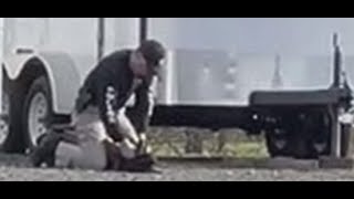 Vacaville officer caught on video beating K9 was correcting dog [upl. by Lisabet317]