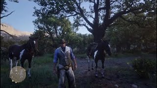 Red Dead Redemption 2 How To Hunt The Legendary Tatanka Bison As Arthur [upl. by Pears]