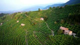 ITA Conegliano Valdobbiadene Prosecco Superiore [upl. by Lindy]