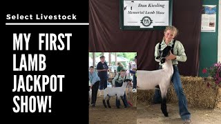 Competing In A Spring Lamb Jackpot Show [upl. by Eibloc424]