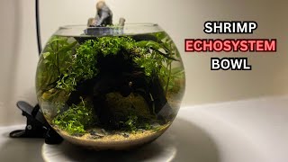 Echosystem Shrimp Bowl No Filter No Heater  Setup [upl. by Donaugh]