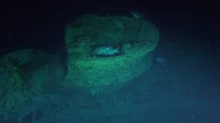 First Look at World War II Shipwrecks Off NC Coast [upl. by Eanahs915]