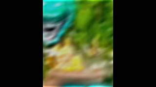 Bamboo🗿 trollfaceedit edit trollface viralvideo [upl. by Atekram]