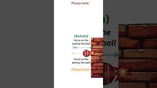 Newtons 3rd Law Action amp Reaction forces  Class 9 Science  Force and Laws of Motion [upl. by Kay]