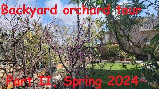 Backyard orchard tour Part II Spring 2024 [upl. by Ened322]