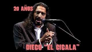 DIEGO EL CIGALA 20 Añoswmv [upl. by Haibot258]