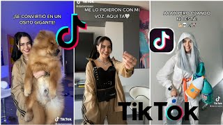 Los nuevos TikTok de Darían Rojas 🥰 [upl. by Bettencourt]