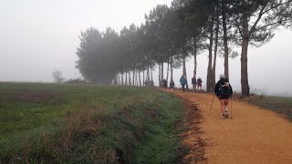 Camino de Santiago Francés Sarria  Santiago de Compostela 2017 Septiembre [upl. by Analeh]