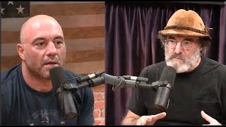 Joe Rogan Is Stunned By Paul Stamets Stories About the Multiverse [upl. by Yreffej106]