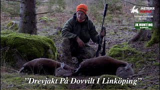 ”Drevjakt I Linköping” Följ med Jaktfeber på Dovviltsjakt på riktigt fina marker [upl. by Reedy879]