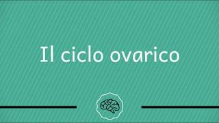 Fisiologia Ginecologica  Il ciclo ovarico [upl. by Ephrem]