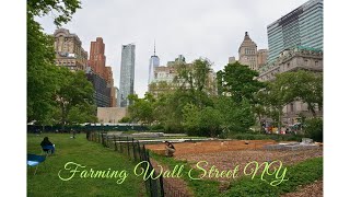 Farming Wall Street NY 2024 [upl. by Hajile]