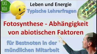 Fotosynthese und ihre Abhängigkeit von abiotischen Faktoren [upl. by Attesoj236]